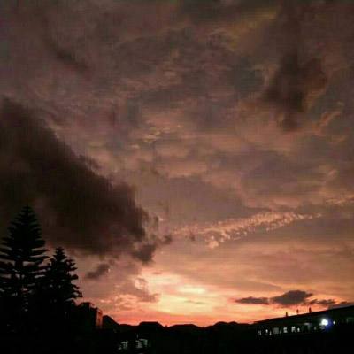 hth·华体育APP手机app下载